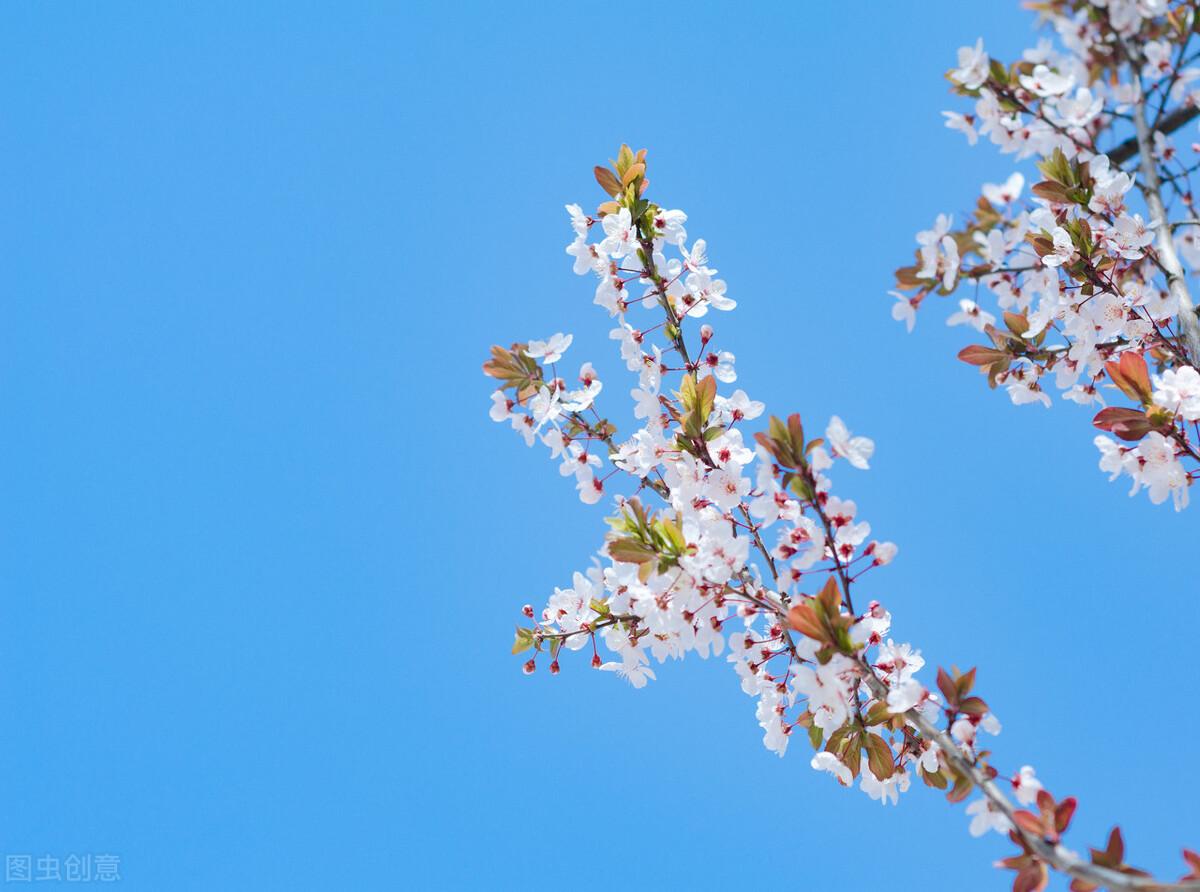 夏天三个生活小窍门是_夏天生活小知识_夏天的生活小技巧