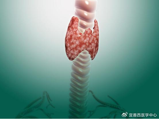 调节亚健康就是治未病_调亚健康是什么意思_亚健康状态的调控